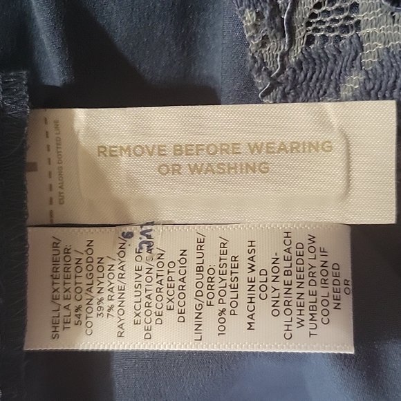 Ann Taylor Lace Overlay Sleeveless Dress - Picture 10 of 11